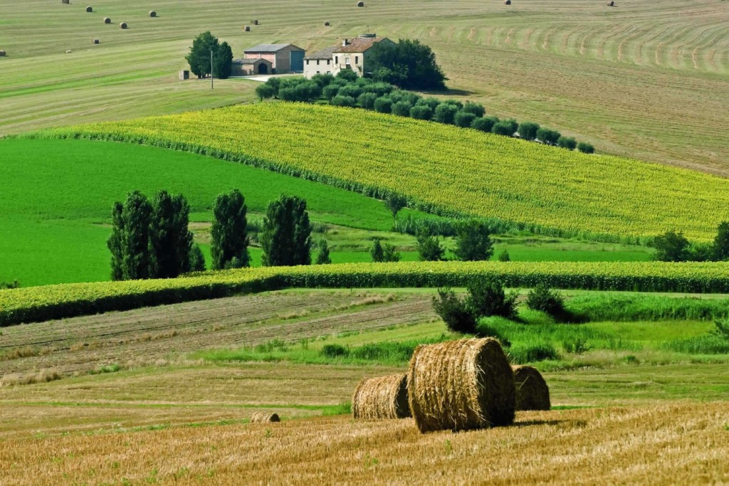 Campagna Marchigiana